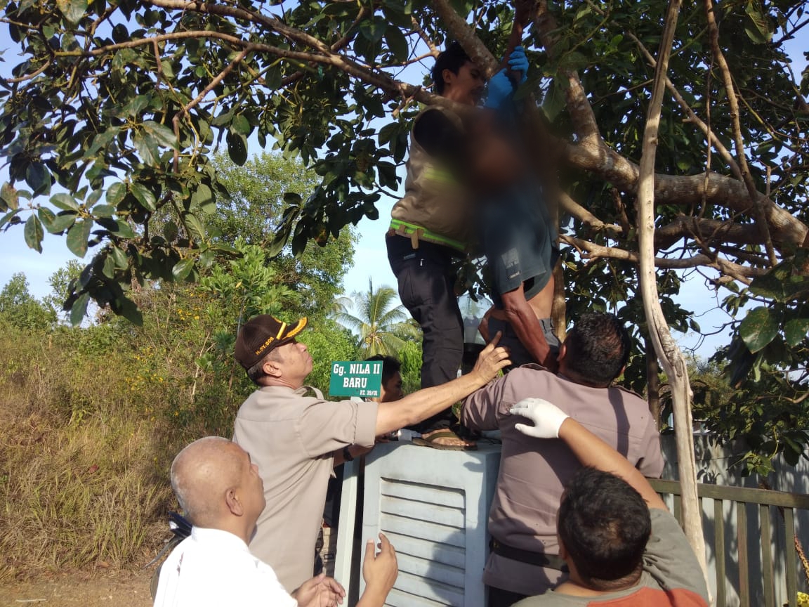 Pria Paruh Baya Tewas Menggantung Di Atas Pohon – Redaksi 8