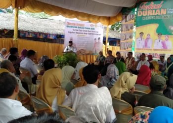 Festival Durian Kabupaten Banjar, 10 Varietas  Komoditi Durian Ke Pusat Perlindungan Varietas