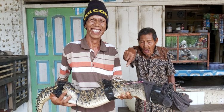 Yusuf Bekap Buaya Demi Keselamatan Warga
