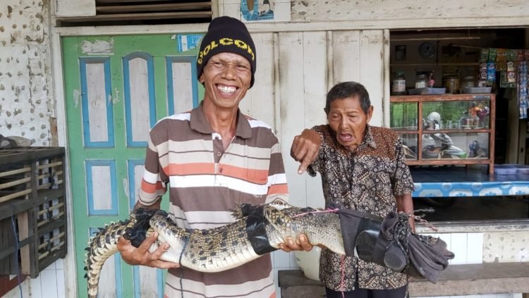 Yusuf Bekap Buaya Demi Keselamatan Warga