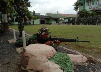 Babinsa Dekat Dengan Rakyat, Tetap Dilatih Taktik Regu Dalam Perang