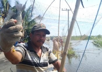 Martapura Banjir, Habib Madi Al Hasani : Harga Ikan di Sini Murah