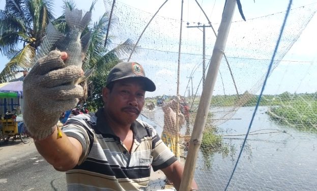 Martapura Banjir, Habib Madi Al Hasani : Harga Ikan di Sini Murah
