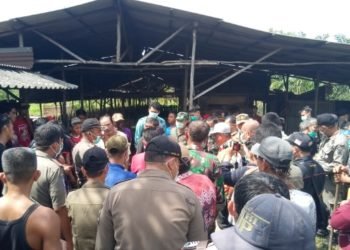 Di Bali Flu Babi Afrika, Masyarakat dan Pemko Banjarbaru Datangi Ternak Babi
