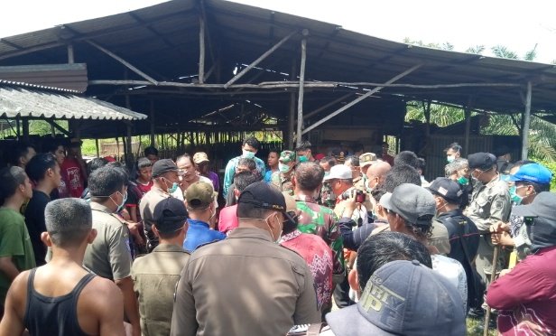 Di Bali Flu Babi Afrika, Masyarakat dan Pemko Banjarbaru Datangi Ternak Babi