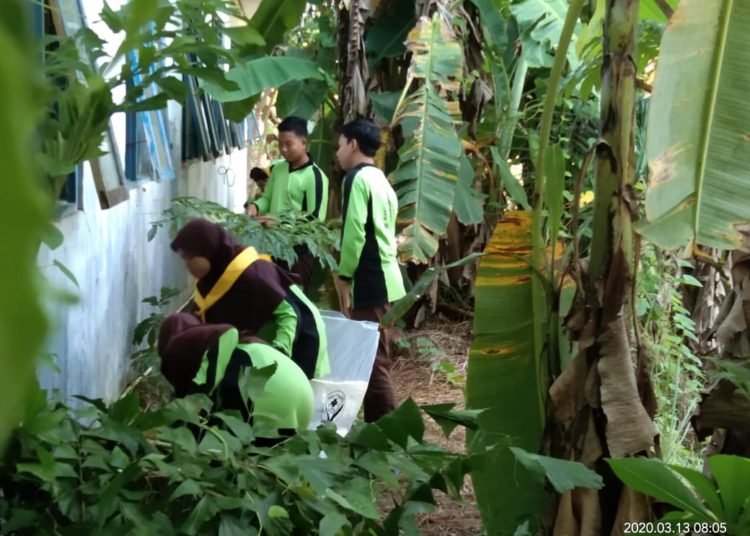 UPT Puskesmas Astambul Bersama PMI Kabupaten Banjar Lakukan Pencegahan DBD Di MAN 2 Banjar