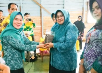 TP PKK Kabupaten Banjar Nilai Desa Bancing  Kecamatan Paramasan
