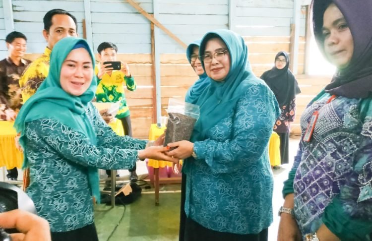 TP PKK Kabupaten Banjar Nilai Desa Bancing Kecamatan Paramasan