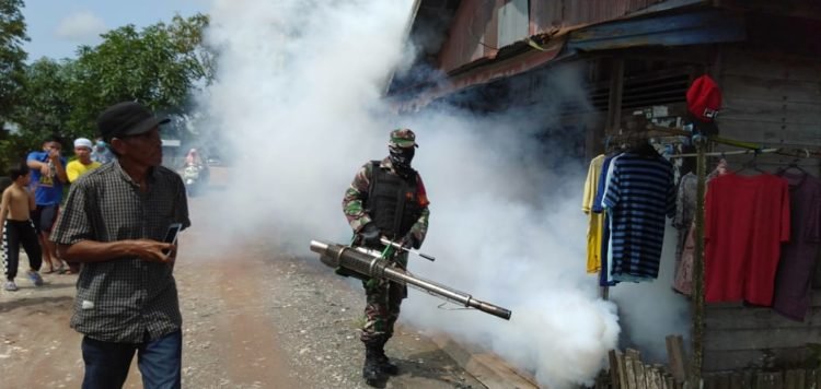 Tidak Terlena Penangan Covid-19, DBD Perlu Diwaspadai