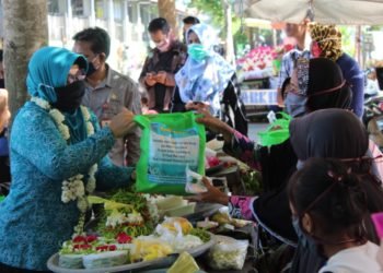 Wujud Semangat Kartini, Dinas TPH Bersama TP PKK Bagikan Masker, Hand Sanitizer, Hingga Sembako Secara Gratis