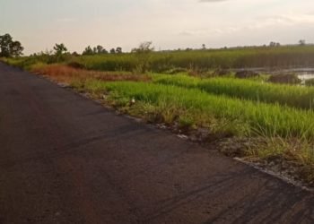 Ditengah Ramadhan dan Covid-19, Mencari Ikan Pilihan Terbaik