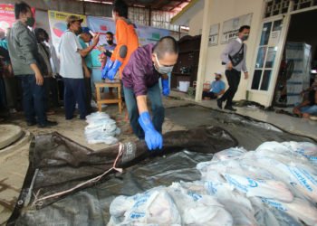 Dinas Perikanan Kabupaten Banjar Bagikan Ikan Ke Masyarakat