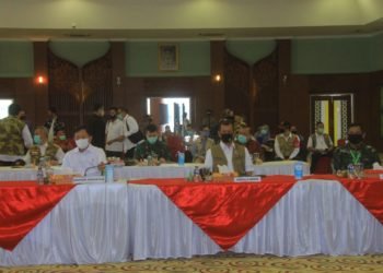 Kepala BNPB Pusat Tinjau Penangan Covid-19 Di Kalsel