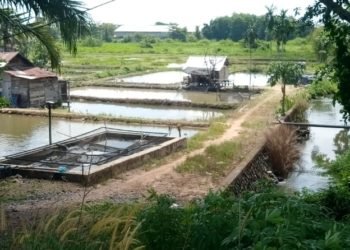 Dinas PUPR Kota Banjarbaru Segera Lakukan Normalisasi Sungai Durian, Subrianto : Akhir Juli Ini Sudah Dilakukan Kontrak Kerjasama