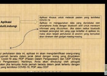 Anggota DPR RI H Syaifullah Tamliha Webinar Pemanfaatan Internet