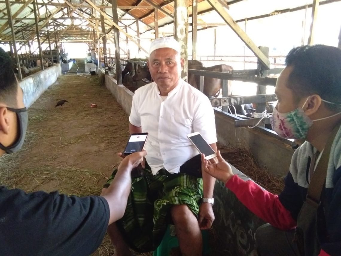 Dampak Pandemi, Dari 1000 Turun Menjadi 700 Ekor, H. Safrin : Paling Bagus Dari Bali 7 IMG 20200729 WA0016 1