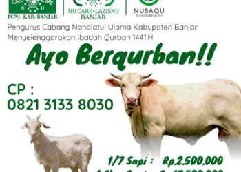 PCNU Kabupaten Banjar Kembali Laksanakan Ibadah Qurban