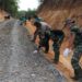 TNI Dan Polri Sinergi Di Penugasan Saja, Kegiatan Lain Pun Saling Membantu