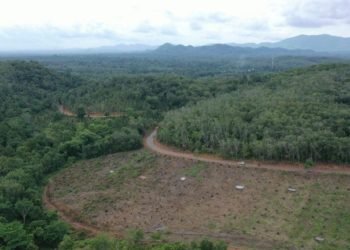 Jalan Yang Di Buat Oleh Satgas TMMD Di Desa Biih Saat Dipantau Dari Udara