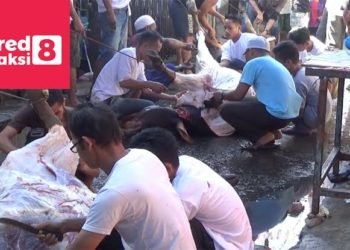 Sambut Hari Raya Kurban, Pemko Banjarbaru Sudah Siapkan Protokolnya, Yuk Baca!