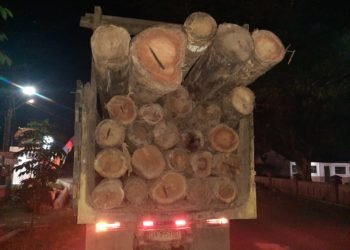 7 Buah Truck Membawa Batang Kayu Disita Warga, Ada Apa?