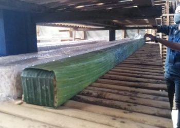 Sembari Olah Tempe Sembari Besarkan Ikan, Pengaruh Covid-19 Terhadap Bisnis Purwanto