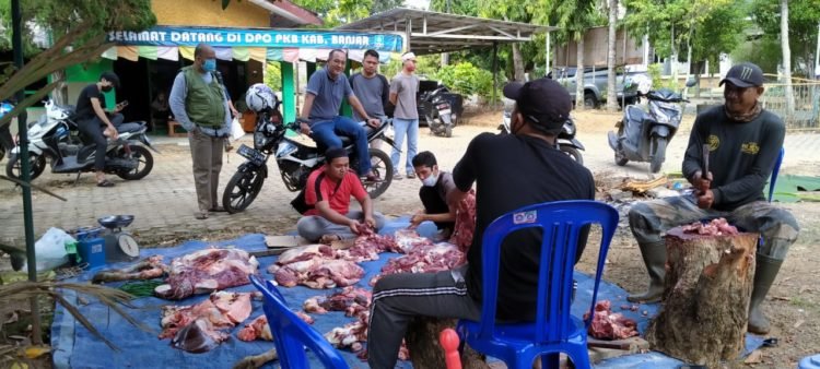 4 Ekor Sapi Disembelih Dihalaman Kantor DPC PKB Kabupaten Banjar