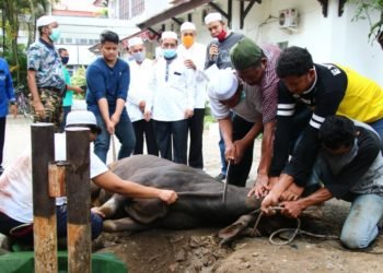 Pemkab Banjar Kembali Laksanakan Ibadah Qurban