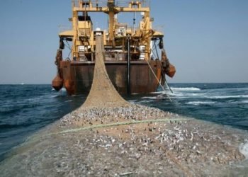 Amran Malu Wilayah Fishing Ground di Daerahnya Ditempati Nelayan Luar Kalsel : Mereka Diam-diam Pasang Cantrang
