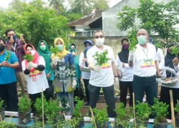 Panen Pekarangan Pangan Lestari Bersama Menteri Pertanian