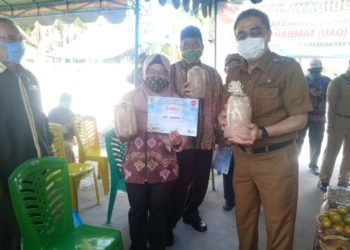 Jaya Senang Ekonomi Banjarbaru Mulai Bergerak, Budidaya Jamur Tiram Mulai Diminati
