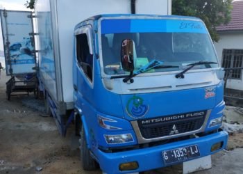 Armada Truk Pengangkut Ikan Diduga Dari Pulau Jawa Masuk Kalsel, Pengepul Ikan Lokal “Gigit Jari”