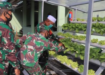 Setelah 4 Minggu, Dandim 1006 Martapura Panen Sayuran Melalui Tanaman Hidroponik