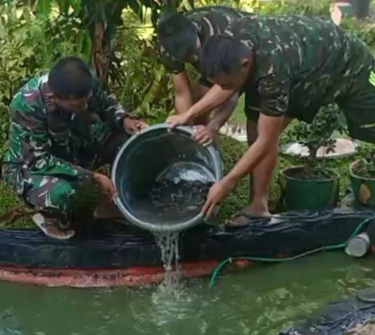 Koramil Sungai Pinang Manfaatkan Pekarangan Untuk Budidaya Ikan Lele Dan Sayuran