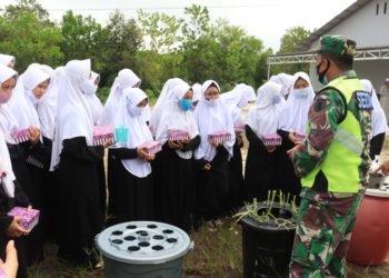 Budidaya Ikan Lele Dan Tanaman Yang Diajarkan Oleh Kodim 1006 Martapura Kepada Santri