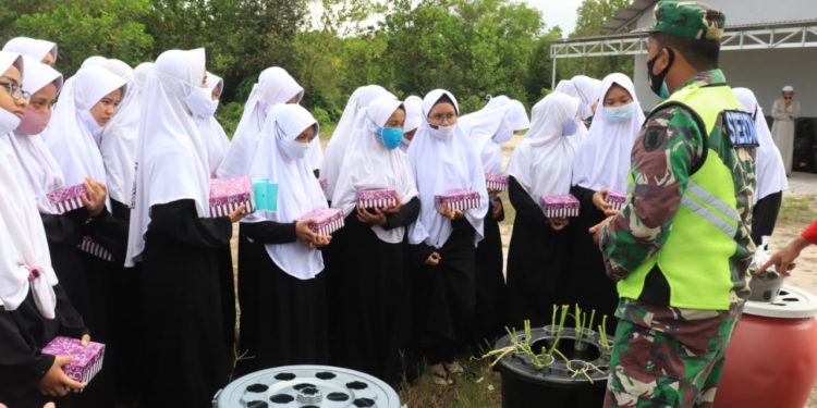 Budidaya Ikan Lele Dan Tanaman Yang Diajarkan Oleh Kodim 1006 Martapura Kepada Santri