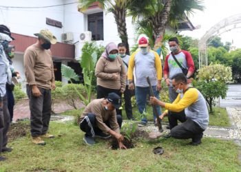 Peringati Hari Menanam Pohon Nasional, Bupati Banjar Tanam Pohon Bungur