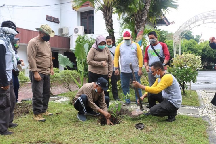 Peringati Hari Menanam Pohon Nasional, Bupati Banjar Tanam Pohon Bungur