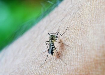 Pandemi Covid-19 di Banjarbaru Masih Tinggi, Awas! Bahaya Lain Tengah Mengintai di Musim Hujan
