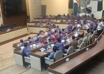 PPDI Rapat Dengar Pendapat Umum Dengan Komisi II DPR RI Suara Harapan Mereka