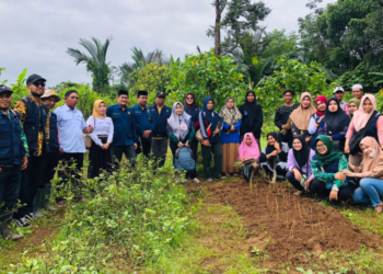 Dinas Pertanian Berikan Pelatihan, Baznas Kabupaten Banjar Berikan Modal