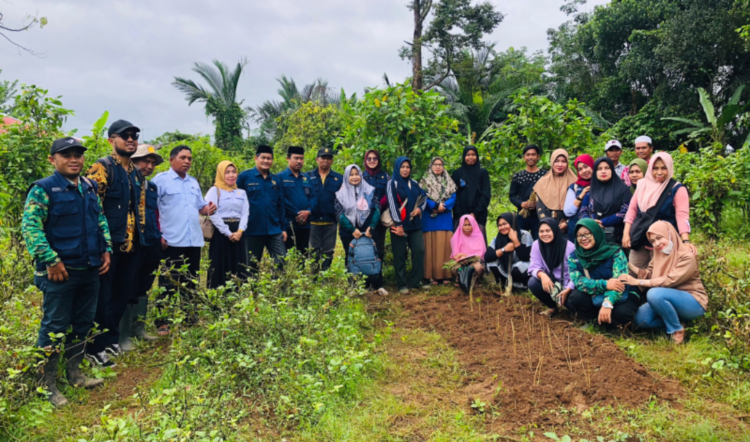 Dinas Pertanian Berikan Pelatihan, Baznas Kabupaten Banjar Berikan Modal