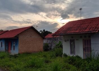 Waspada! Tiga Kelurahan Kasus DBD Tertinggi Di Kota Banjarbaru Ada Disini