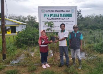 Kelompok Tani Kayuh Baimbai Akan Kembangkan Kelengkeng Lokal Super Dari PT BBP – PT MAS