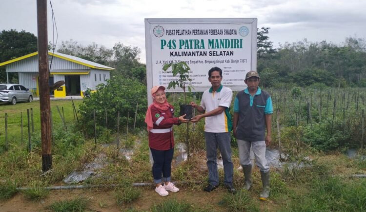 Kelompok Tani Kayuh Baimbai Akan Kembangkan Kelengkeng Lokal Super Dari PT BBP – PT MAS