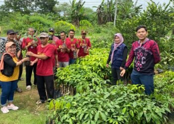 Petani Pasiraman Dan Loktamu Siap Kembangkan Komoditi Karet Unggul IRR 112 Bersama PT BBP dan PT MAS