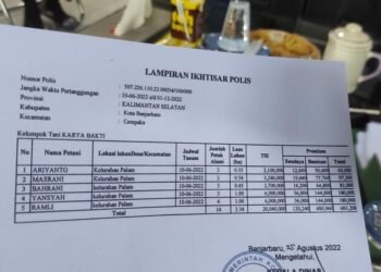 Asuransi Usaha Tani Padi Banjarbaru Disinyalir Bermasalah, Petani : Kami Belum Dibayar!