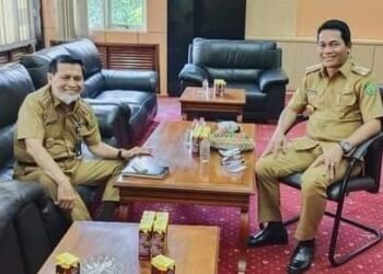Bupati Balangan Tidak Perlu Wabup?