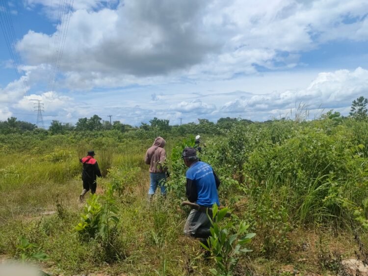 Di Langadai, PT. PLN Lakukan Survey Topografi Pembangunan Gardu Induk Tarjun