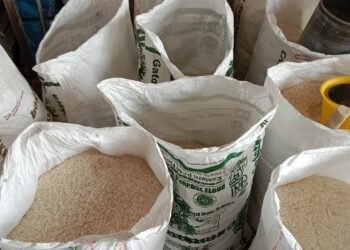 Harga Beras Sampai 850 Ribu Per Karung, Kabid Perdagangan : Kemungkinan Harga Beras Tidak Turun